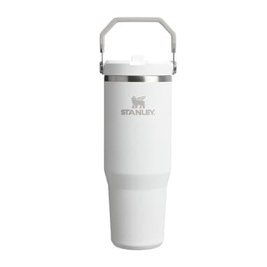 Stanley 1913 Flip Straw Tumbler Trinkflasche Mit Strohhalm 0.89L - Thermosflasche Hält 12+ Stunden Kalt - Spülmaschinenfest - Sportflasche - Wasserflasche BPA Frei - Frost