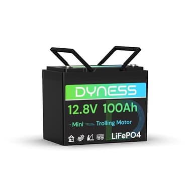 Dyness Lithium Batterie 12V 100Ah LiFePO4 Mini Akku mit 100A BMS, Niedertemperaturschutz, Max.15000 Zyklen, für Bootsmotor, Wohnwagen, Batterie Box, Solarsysteme, Netzunabhängige Systeme