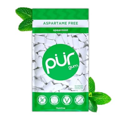 Pur Gum | Zuckerfreier Kaugummi | 100% Xylit | Vegan, Aspartamfrei, Glutenfrei & Diabetikerfreundlich | Natürlicher Kaugummi Mit Spearmint-Geschmack, 55 Stück (1er Pack)