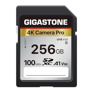 GIGASTONE 256GB SDXC Speicherkarte, 4K Kamera Pro, bis zu 100 MB/S, Digitalkameras Canon Sony Nikon Olympus, A1 UHS-I U3 V30 Klasse 10, 4K UHD Videoaufnahmen